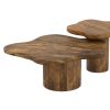 MAYAL-COFFEE TABLE LARGE-WALNUT