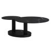 ELARA-COFFEE TABLE-BLACK