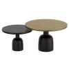 ADIRA-2PC COFFEE TABLE-ANTIQUE GOLD_BLACK