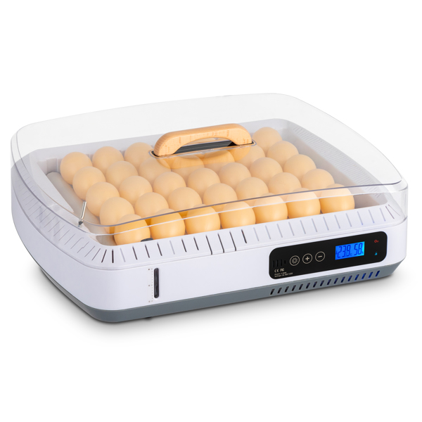 American Standard Incubator, Automatic Temperature Control And Wet Flipping Of Eggs According To Demand (Option: White)